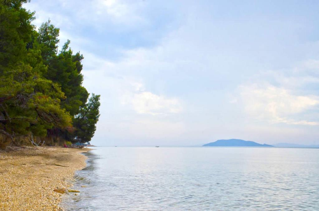 Elia Apartments Sithonia Exterior foto
